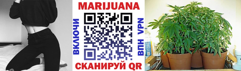 omg ссылки  мориарти формула  Канабис план  Цивильск 